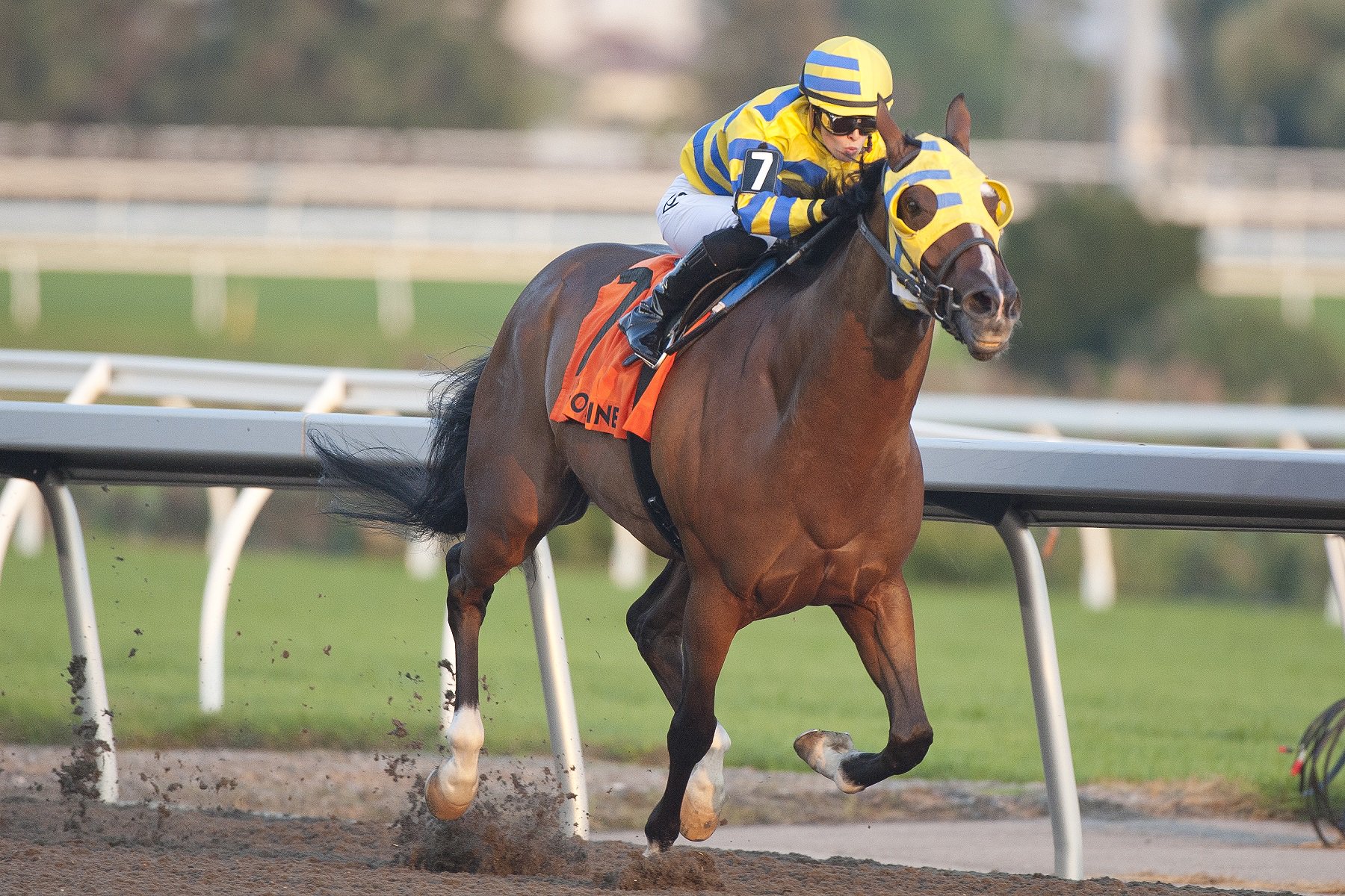 Patches O'Houlihan and jockey Sofia Vives winning Branded Cities Vigil Stakes (G3) on September 14, 2024 (Michael Burns Photo)