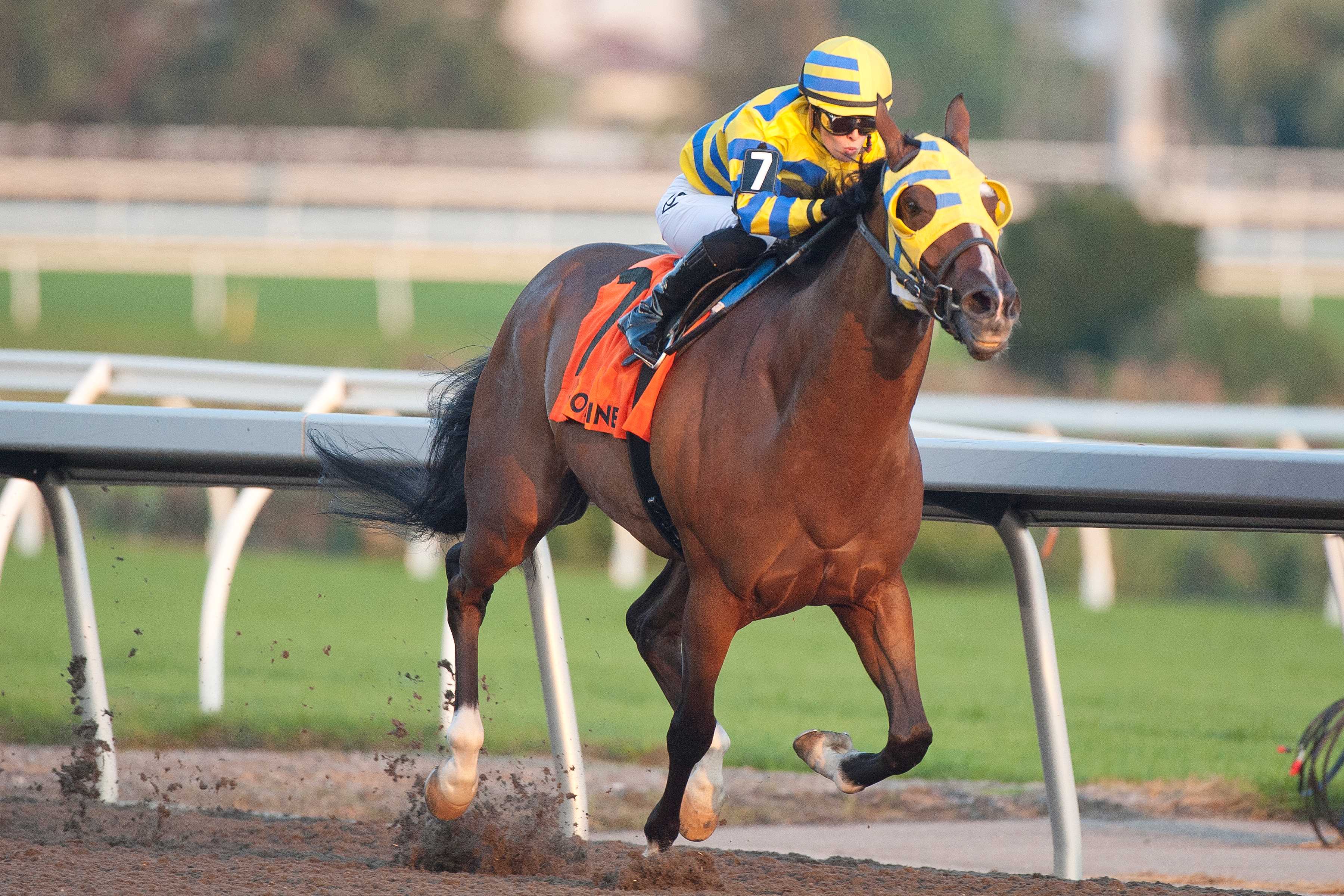 Patches O'Houlihan and jockey Sofia Vives winning the Branded Cities Vigil Stakes (G3) on September 14, 2024 at Woodbine (Michael Burns Photo)