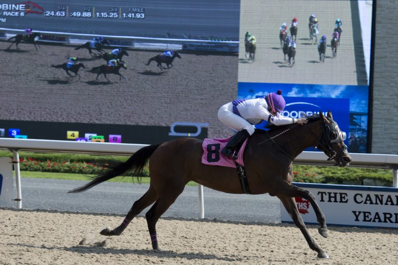 Jockey Isabelle Wenc's first win at Woodbine aboard Tornando Cat on August 26, 2017 (Michael Burns Photo)