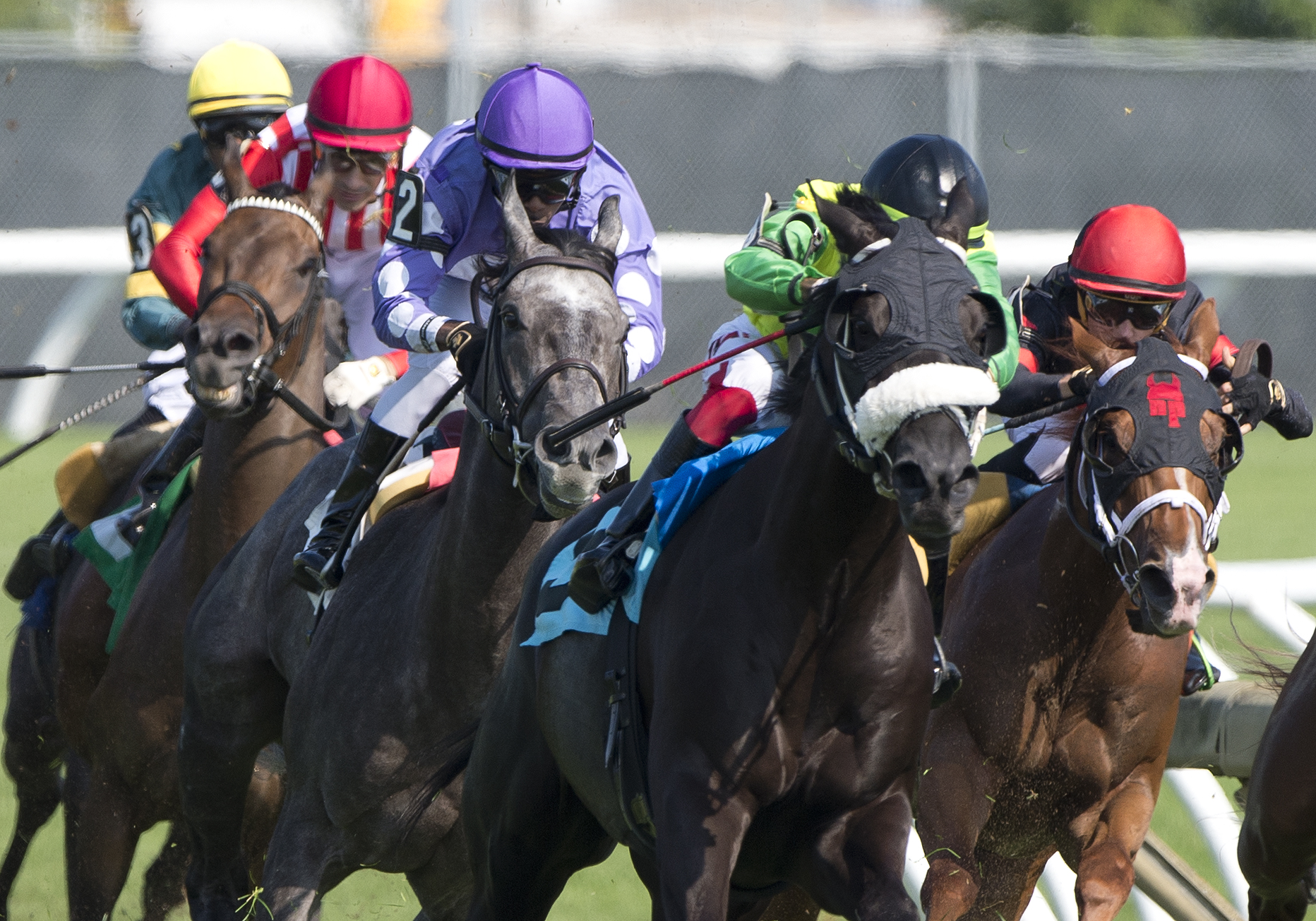 High Stakes Racing ICYMI: High Octane Dashes Define Major Stakes Weekends at Gulfstream ...