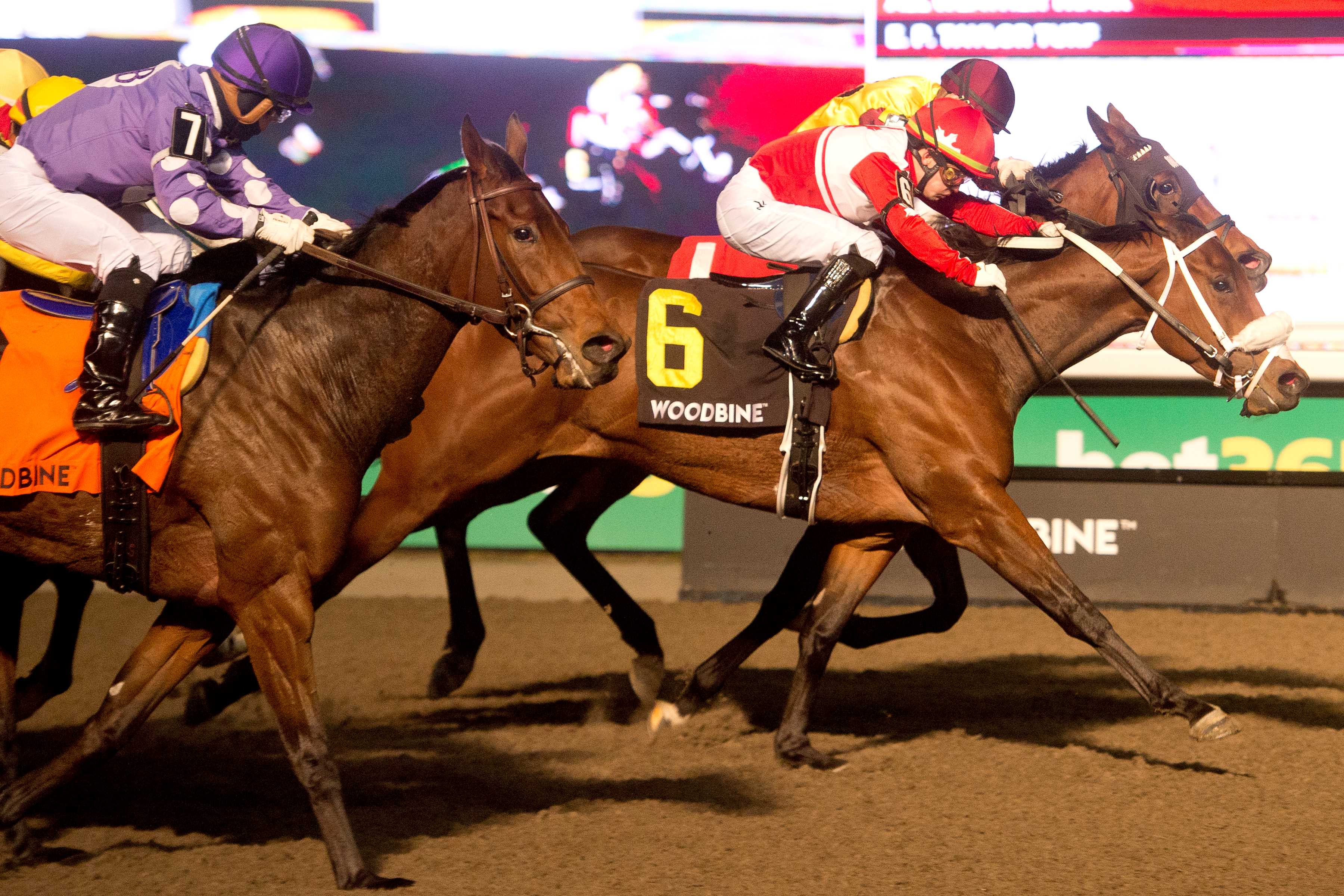 War Painter and jockey Fraser Aebly winning the Ashbridges Bay Stakes on November 17, 2024 at Woodbine (Michael Burns Photo)