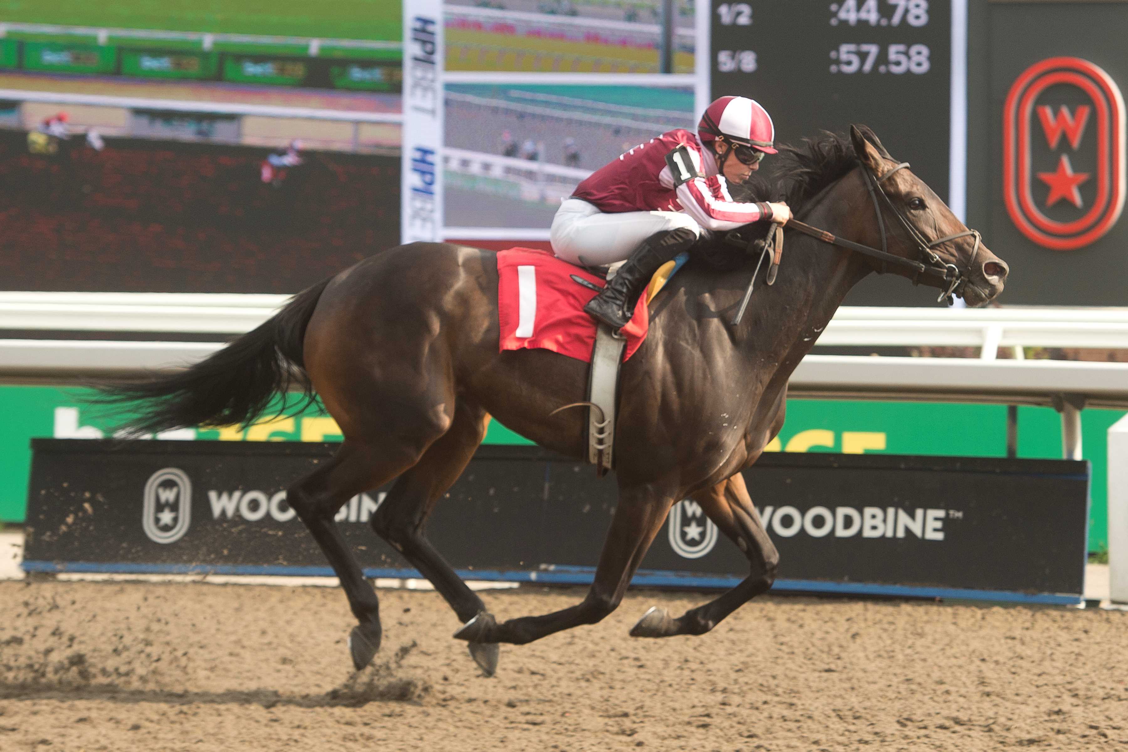 Talk to Ya Later and jockey Emma-Jayne Wilson winning Race 9 on August 3, 2024 at Woodbine (Michael Burns Photo)