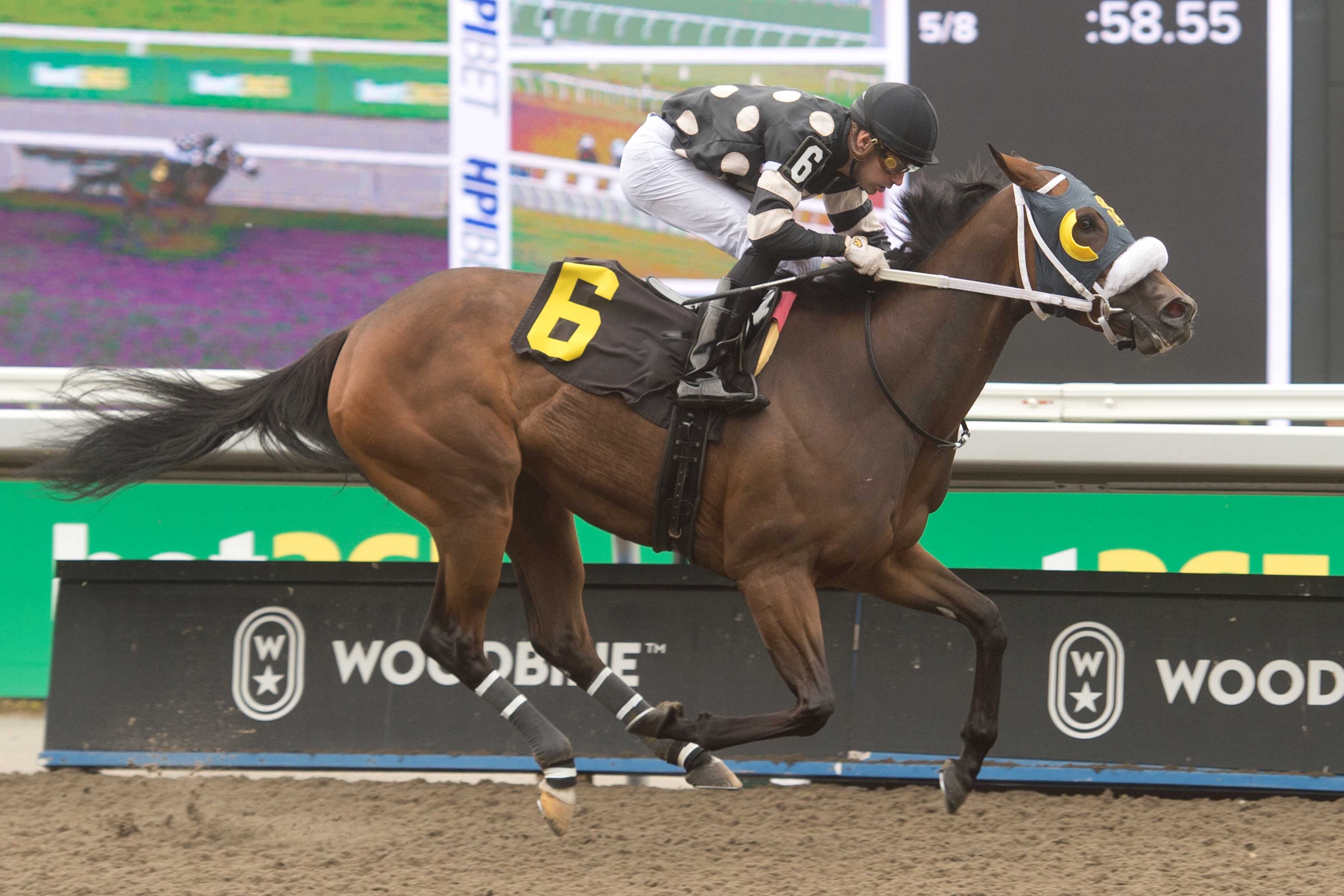 Just Follow Me and jockey Sahin Civaci winning Race 5 on June 8, 2024 at Woodbine (Michael Burns Photo)