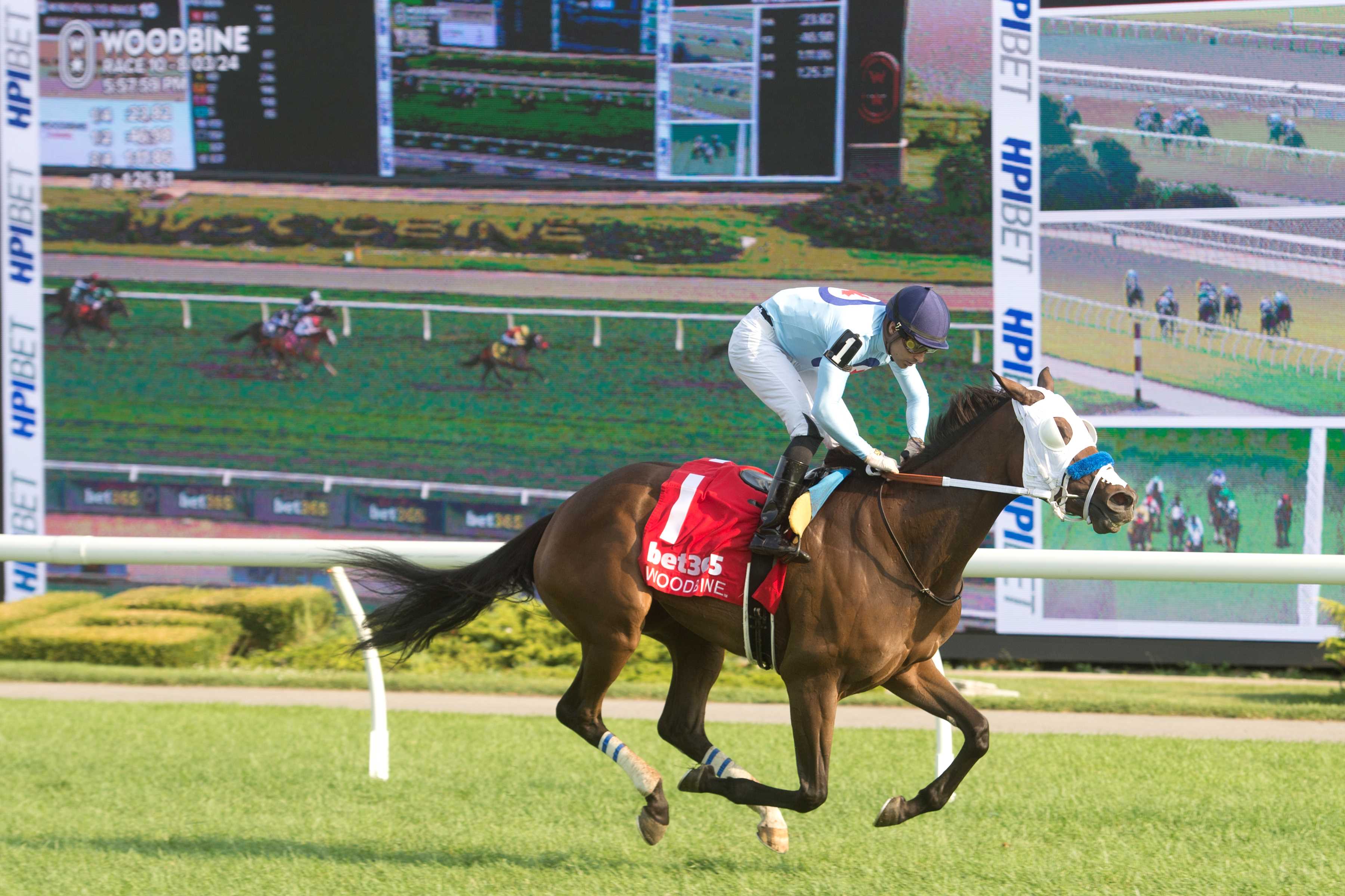 Cozy Curlin Kitten and jockey Sahin Civaci winning Race 10 on August 3, 2024 at Woodbine (Michael Burns Photo)