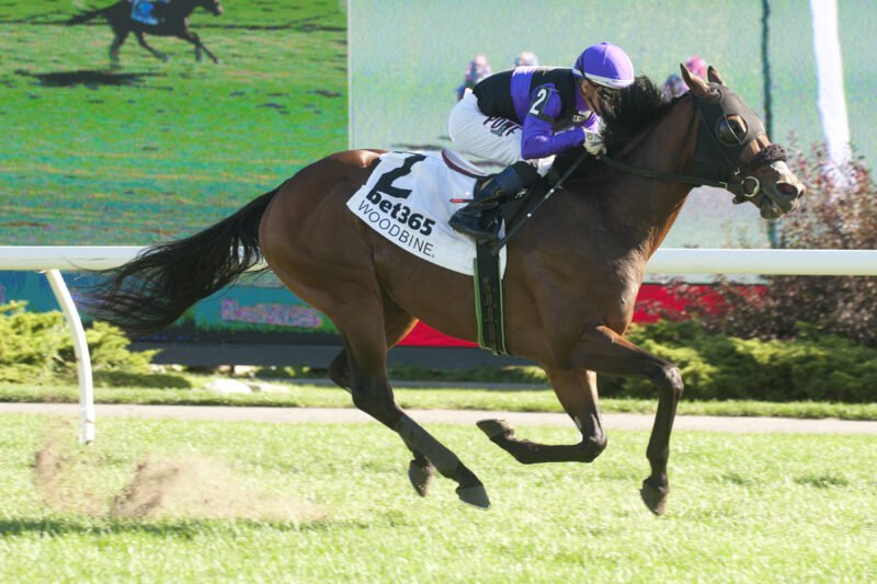 Awesome Bourbon and jockey Rafael Hernandez winning Race 6 on September 28, 2025 at Woodbine (Michael Burns Photo)