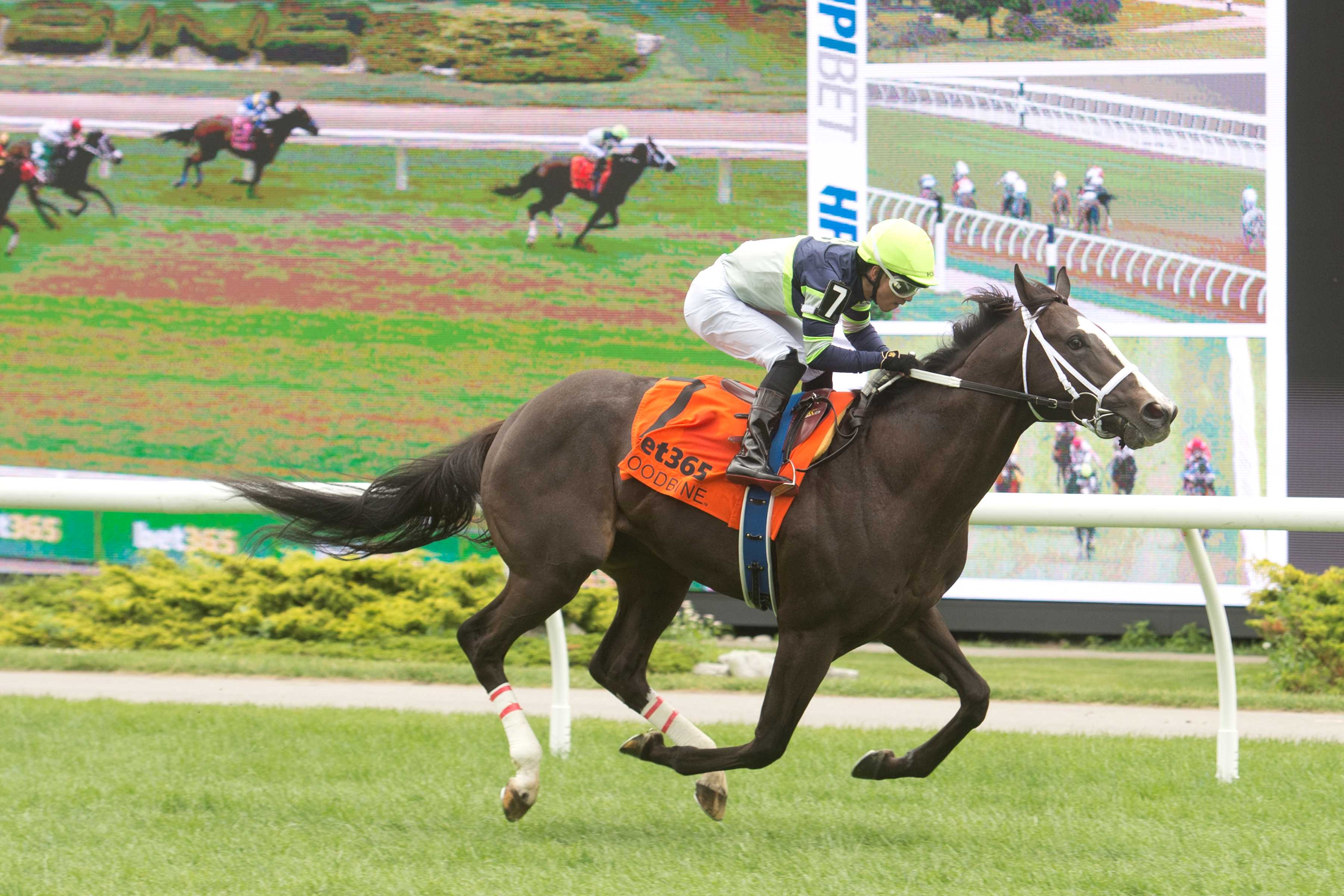 Live Lucky and jockey Kazushi Kimura winning Race 4 on June 9, 2024 at Woodbine (Michael Burns Photo)