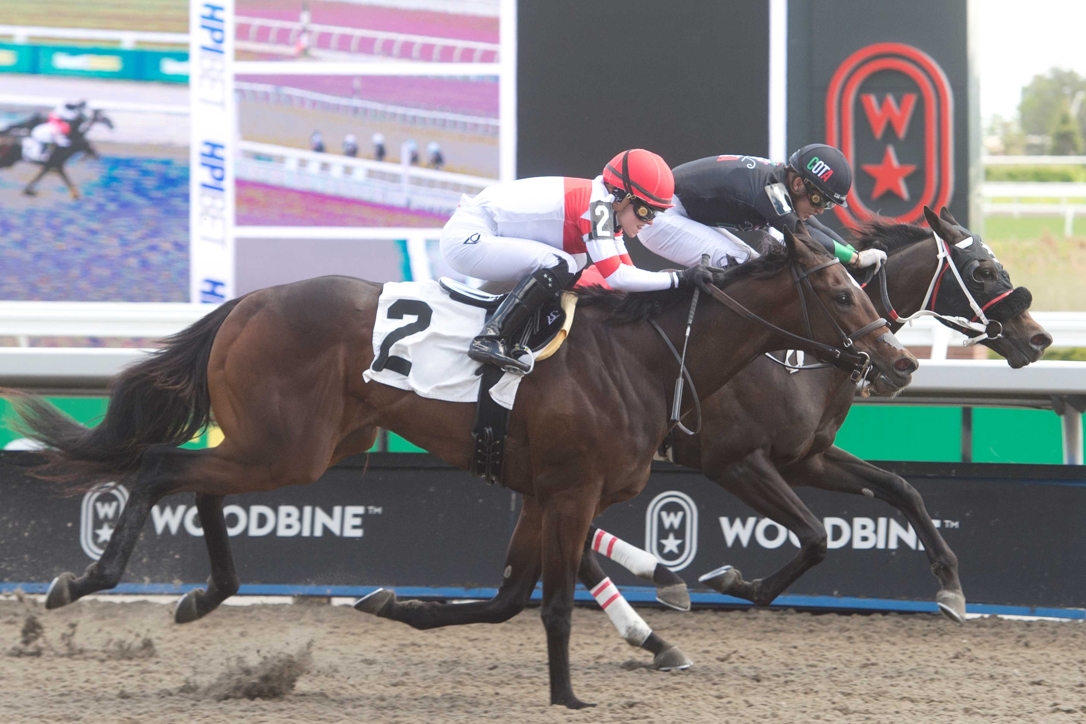 Sol de Verano and jockey Fraser Aebly winning Race 3 on May 12, 2024 at Woodbine (Michael Burns Photo)