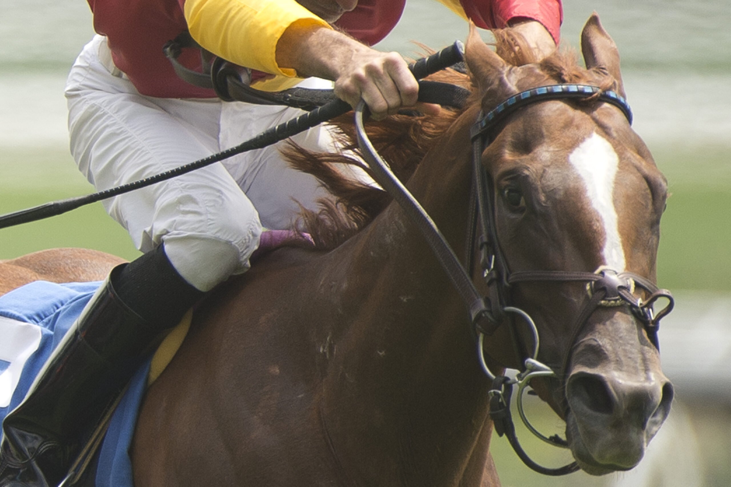 Betting the Risen Star Stakes with Handicapper Ed DeRosa - Woodbine ...