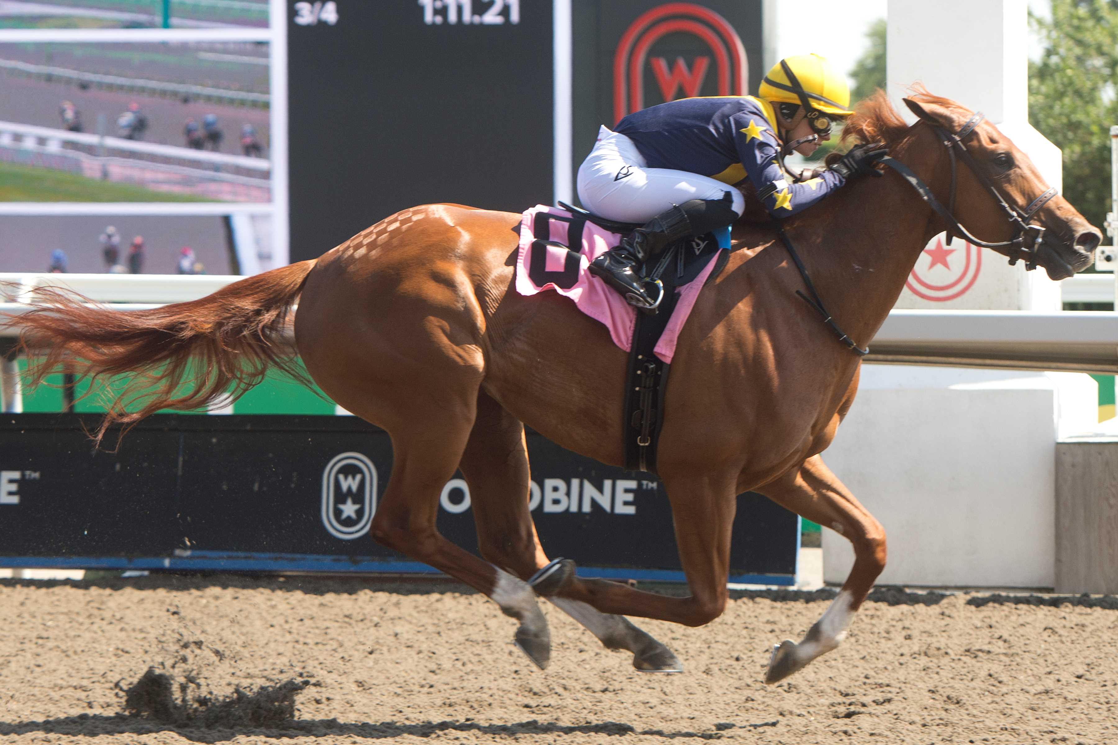 Ontario and jockey Sofia Vives winning Race 6 on July 7, 2024 at Woodbine (Michael Burns Photo)