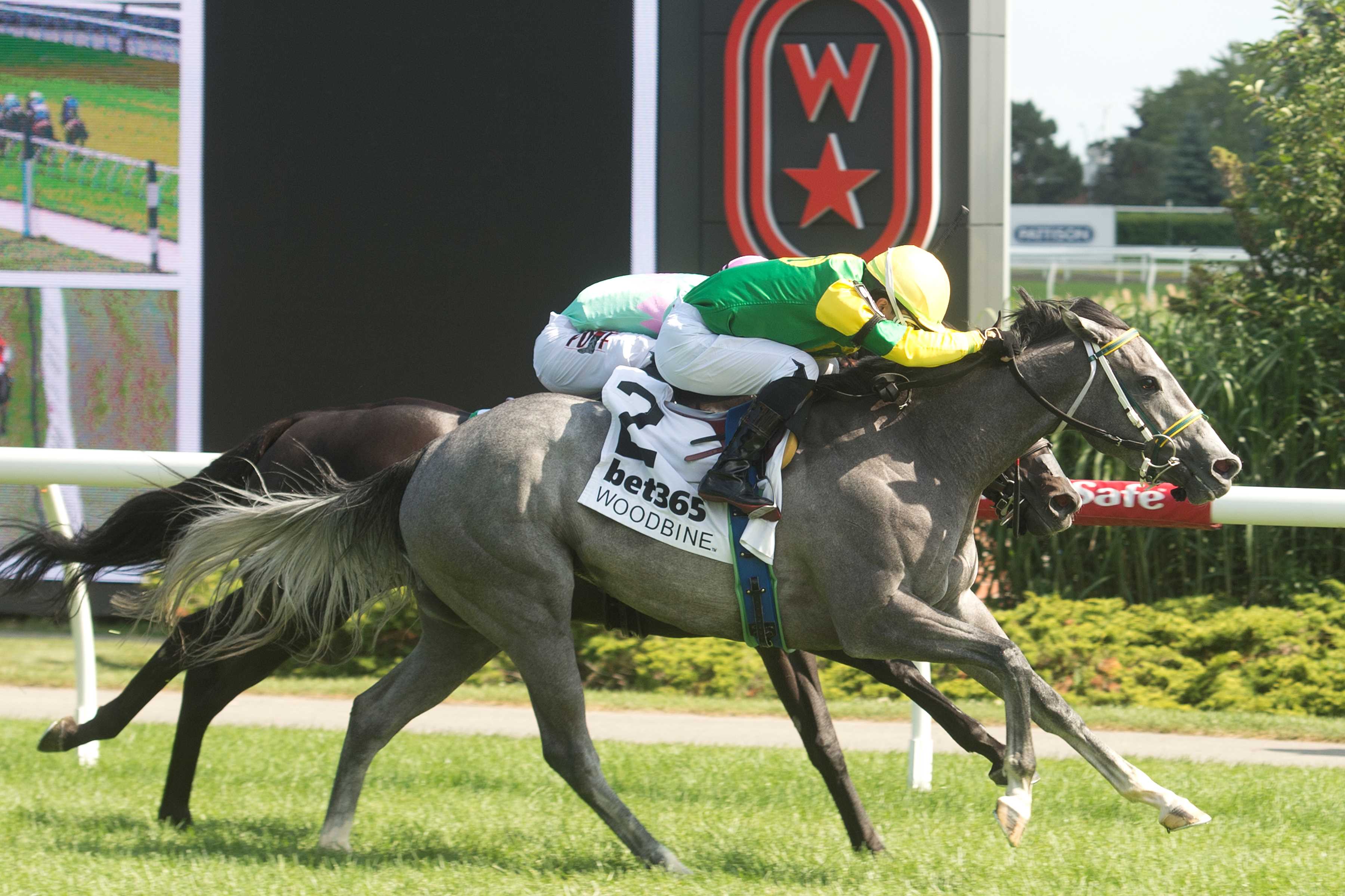 Little Teddy and jockey Kazushi Kimura winning the Georgian Bay Stakes on July 7, 2024 at Woodbine (Michael Burns Photo)