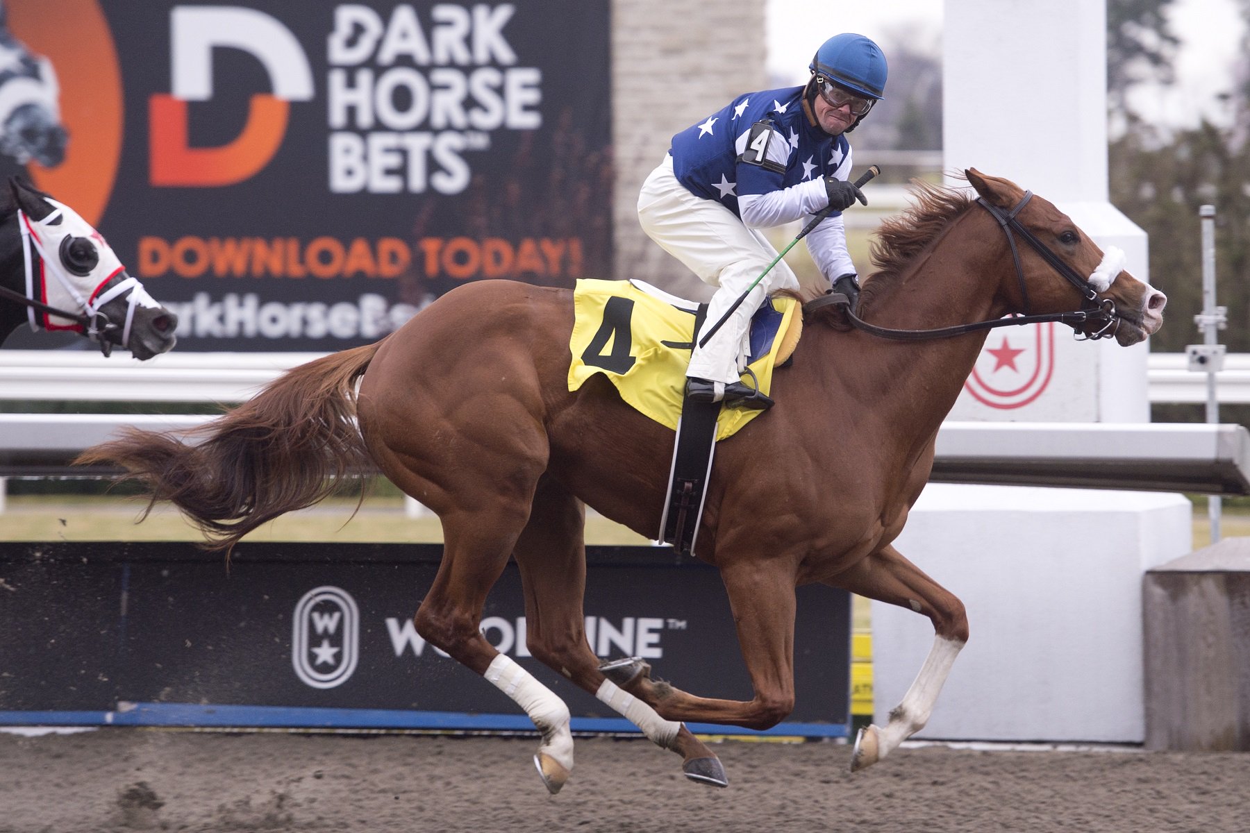Thebackstretchdude and jockey Justin Stein winning Race 1 on November 17, 2022 at Woodbine (Michael Burns Photo)