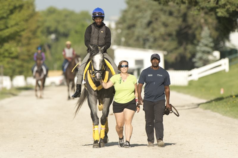King's Plate contender Kaukokaipuu, under exercise rider Terry Husbands walks back after his final prep for trainer Ted Holder (R) on August 16, 2023 (Michael Burns Photo)