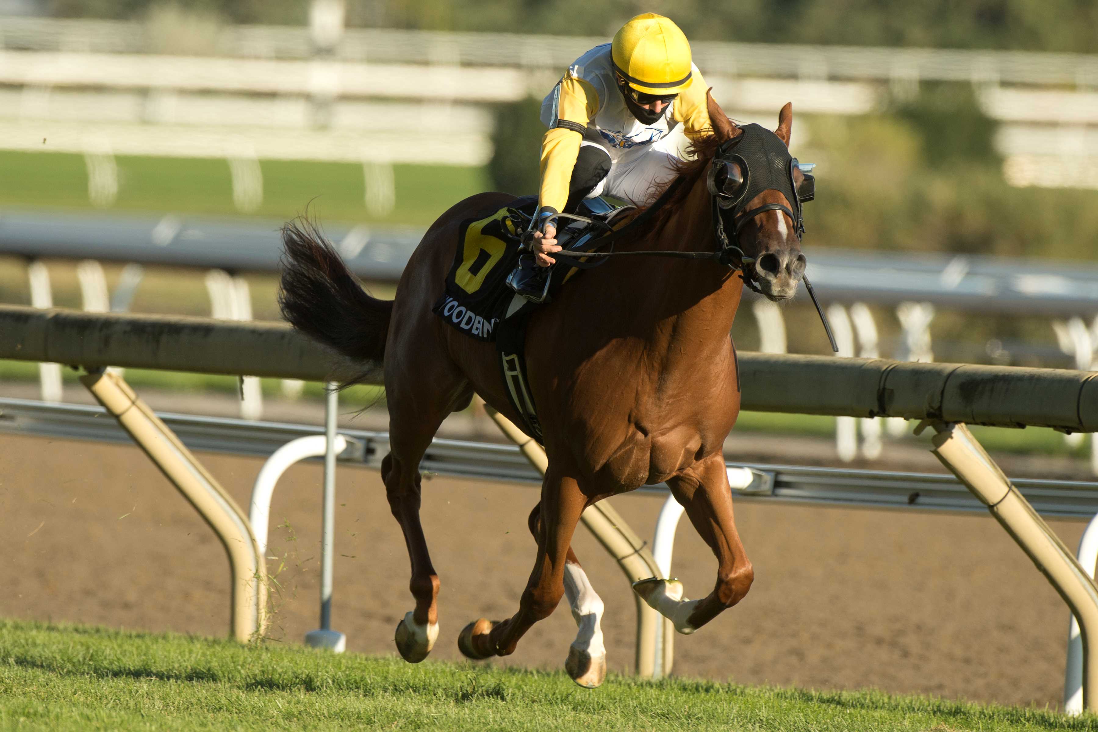 Emma-Jayne Wilson and Lady Speightspeare winning the 2020 Natalma Stakes (G1) at Woodbine (Michael Burns Photo)