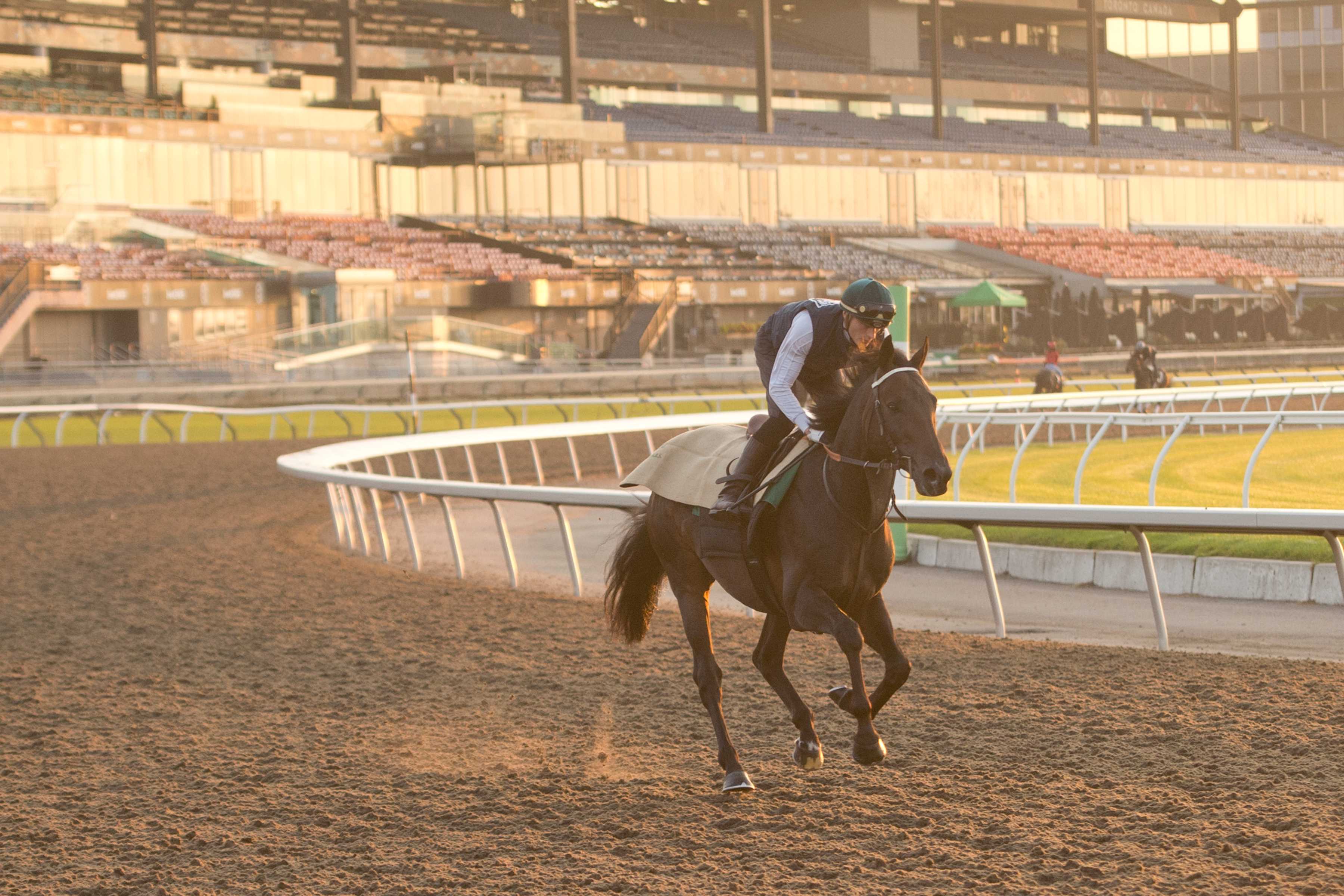 Big Rock training at Woodbine (Michael Burns Photo)