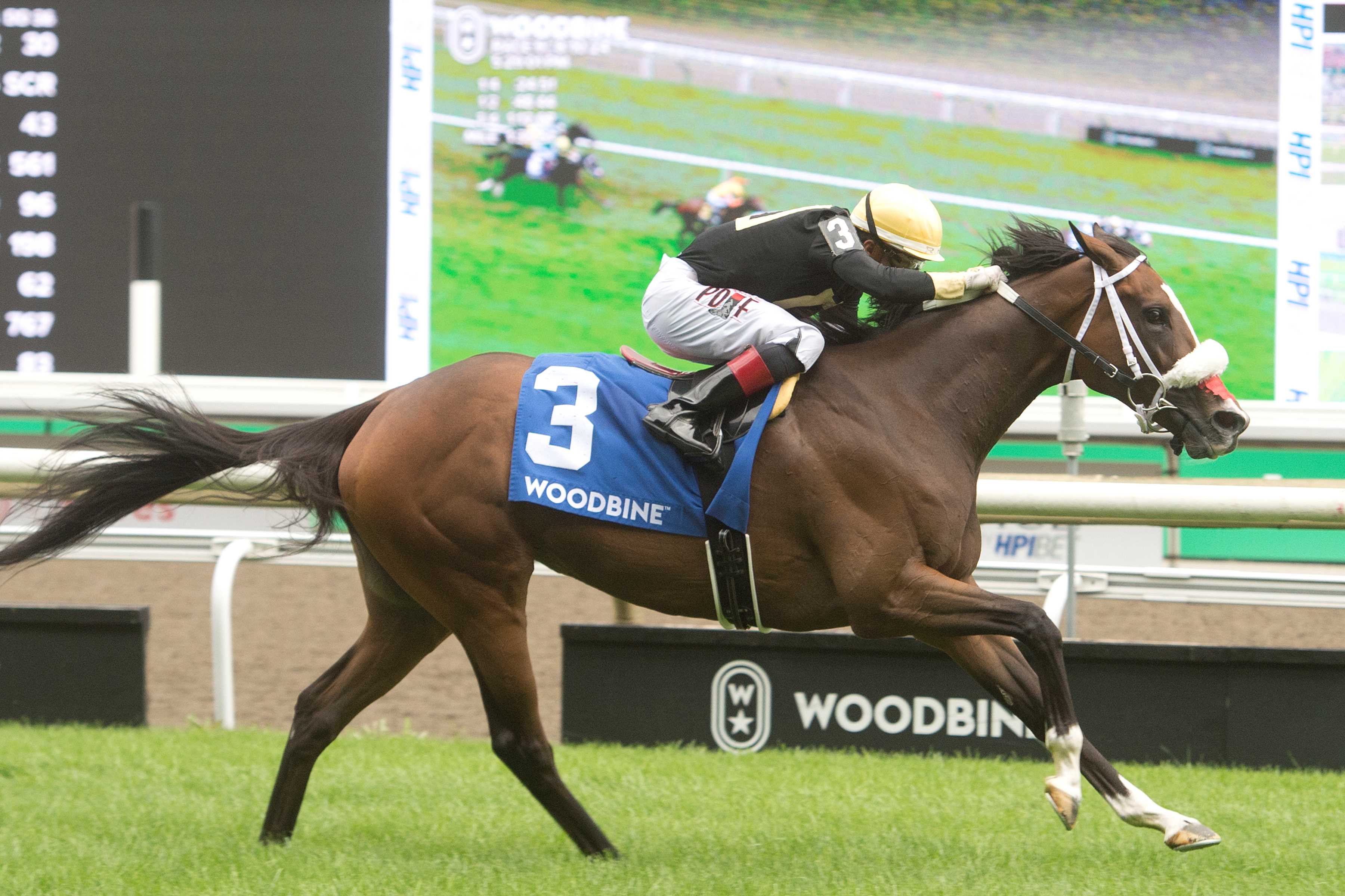 Full Count Felicia and jockey Rafael Hernandez winning the Canadian Stakes (G2) on August 10, 2024 at Woodbine (Michael Burns Photo)