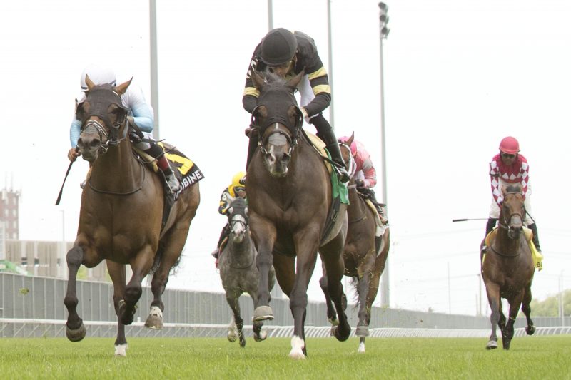 Lucky Score and jockey Sahin Civaci winning the Highlander Stakes on July 1, 2023 at Woodbine (Michael Burns Photo)