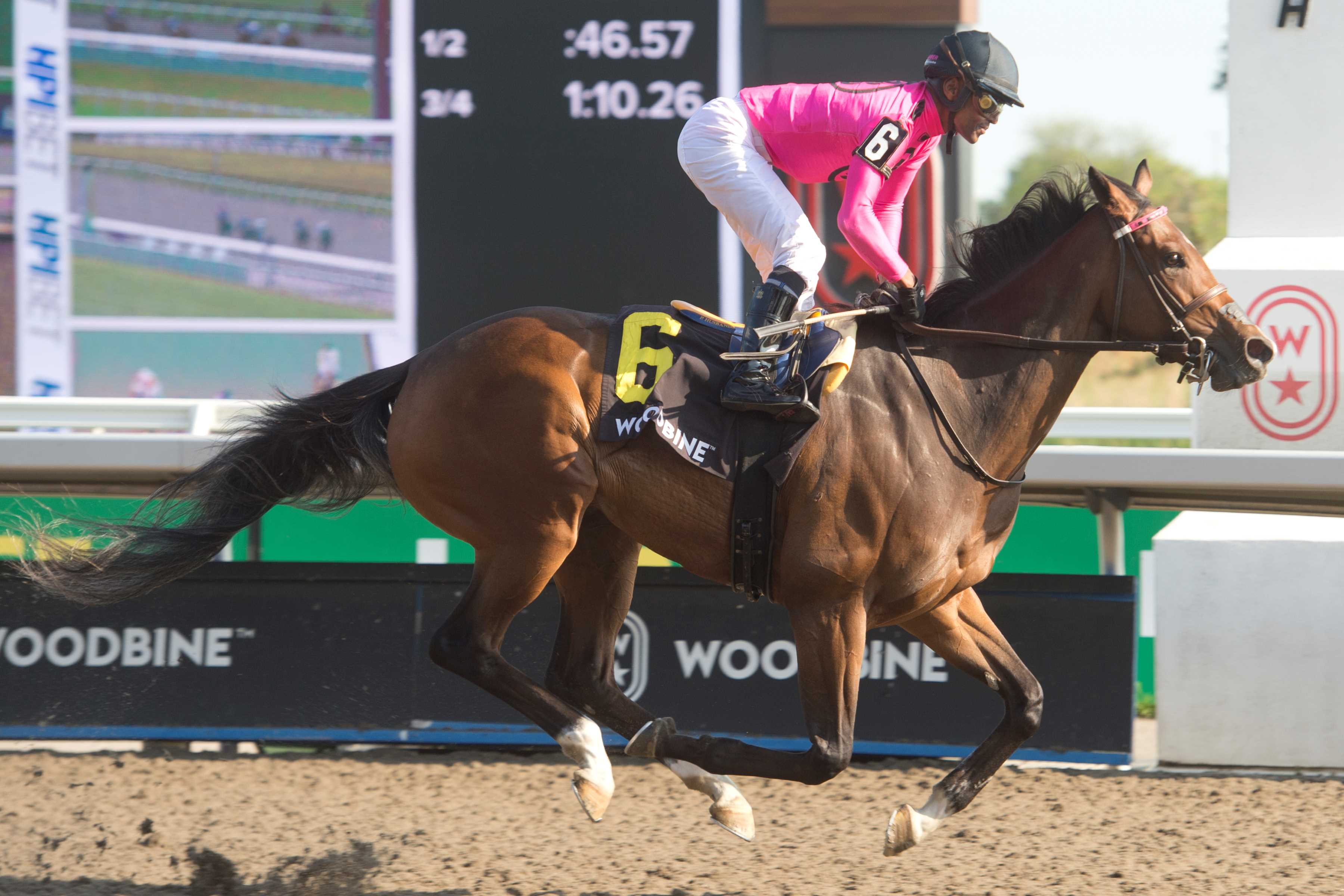 Witwatersrand and jockey Patrick Husbands winning the Ruling Angel Stakes presented by Ketel One on May 18, 2024 at Woodbine (Michael Burns Photo)