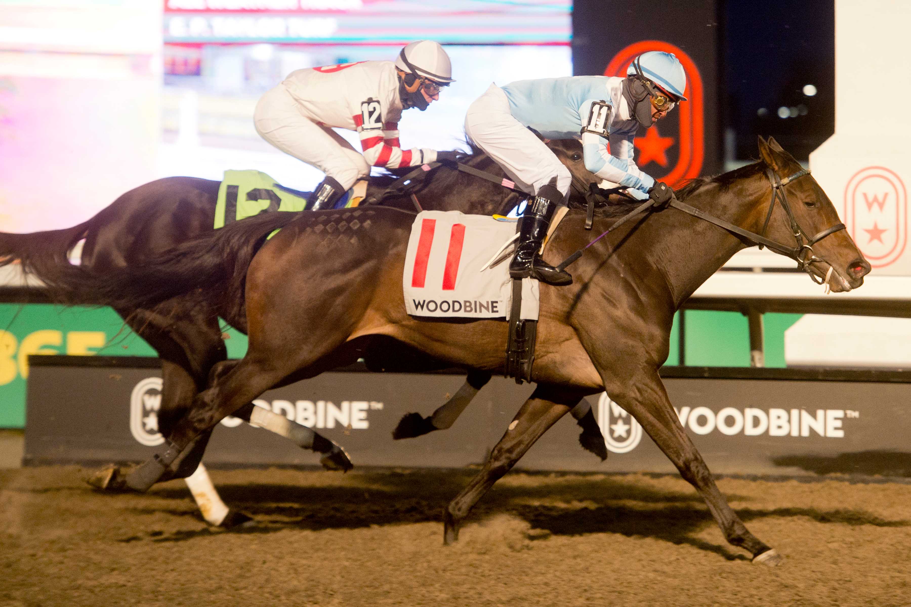 Aristella and jockey Patrick Husbands winning the Princess Elizabeth Stakes on November 30, 2024 at Woodbine (Michael Burns Photo)