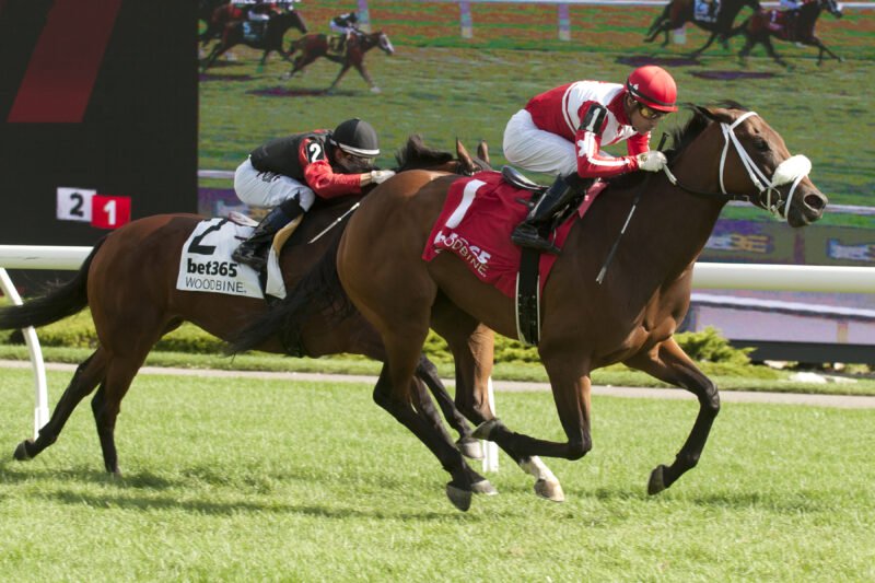 War Painter and jockey Sahin Civaci winning Race 7 on August 24, 2025 at Woodbine (Michael Burns Photo)