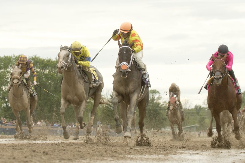 Velocitor and jockey Justin Stein winning the 2023 Prince of Wales Stakes at Fort Erie Race Track (Michael Burns Photo)