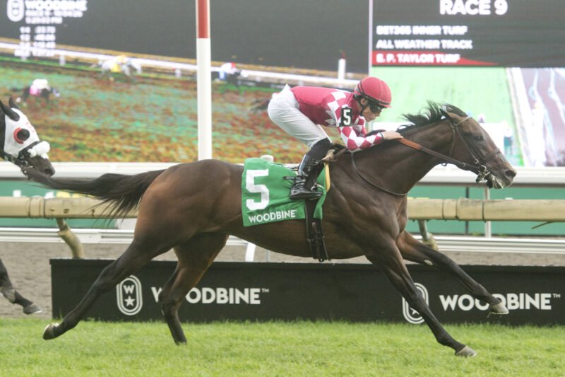 Canada and jockey Emma-Jayne Wilson winning the Cup & Saucer Stakes on October 4, 2026 at Woodbine (Michael Burns Photo)