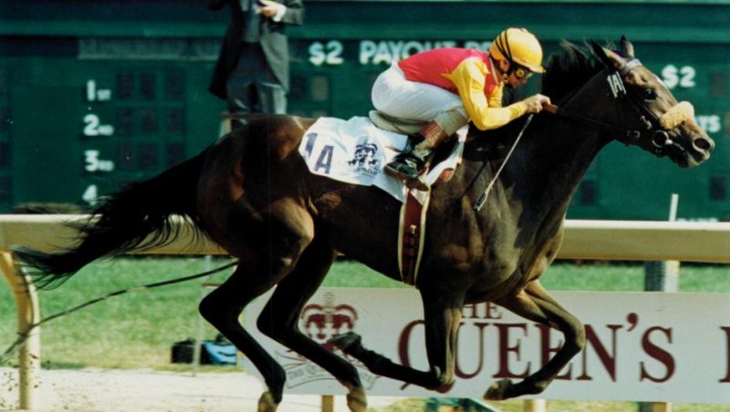 Dance Smartly captured the 1991 Queens Plate under Pat Day at Woodbine. (Michael Burns Photo) 