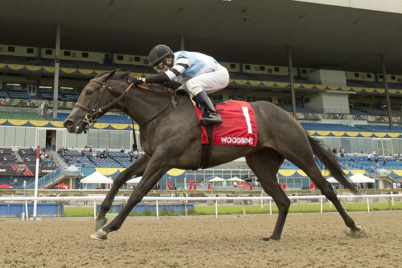 Diabolic (IRE) winning the My Dear Stakes on July 31 at Woodbine.