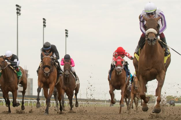 Barbara Minshall trainee, Dreaming of Drew, bested a strong field in the Belle Mahone Stakes, earning the victory with jockey Kazushi Kimura at Woodbine on Sunday. (Michael Burns Photo) 
