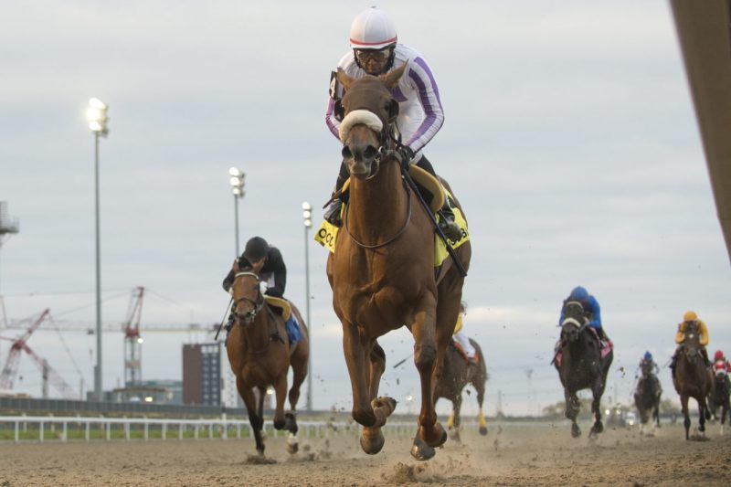 Dreaming Of Drew and jockey Patrick Husbands winning the 2020 Princess Elizabeth Stakes At Woodbine. (Michael Burns Photo)