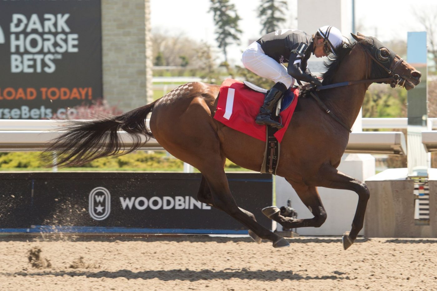 Handicapping Woodbine: Looking to Reign in the Queenston with Ren ...