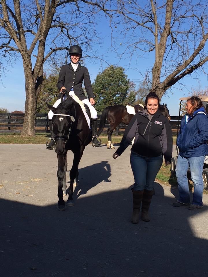 Eddie at the Thoroughbred Makeover