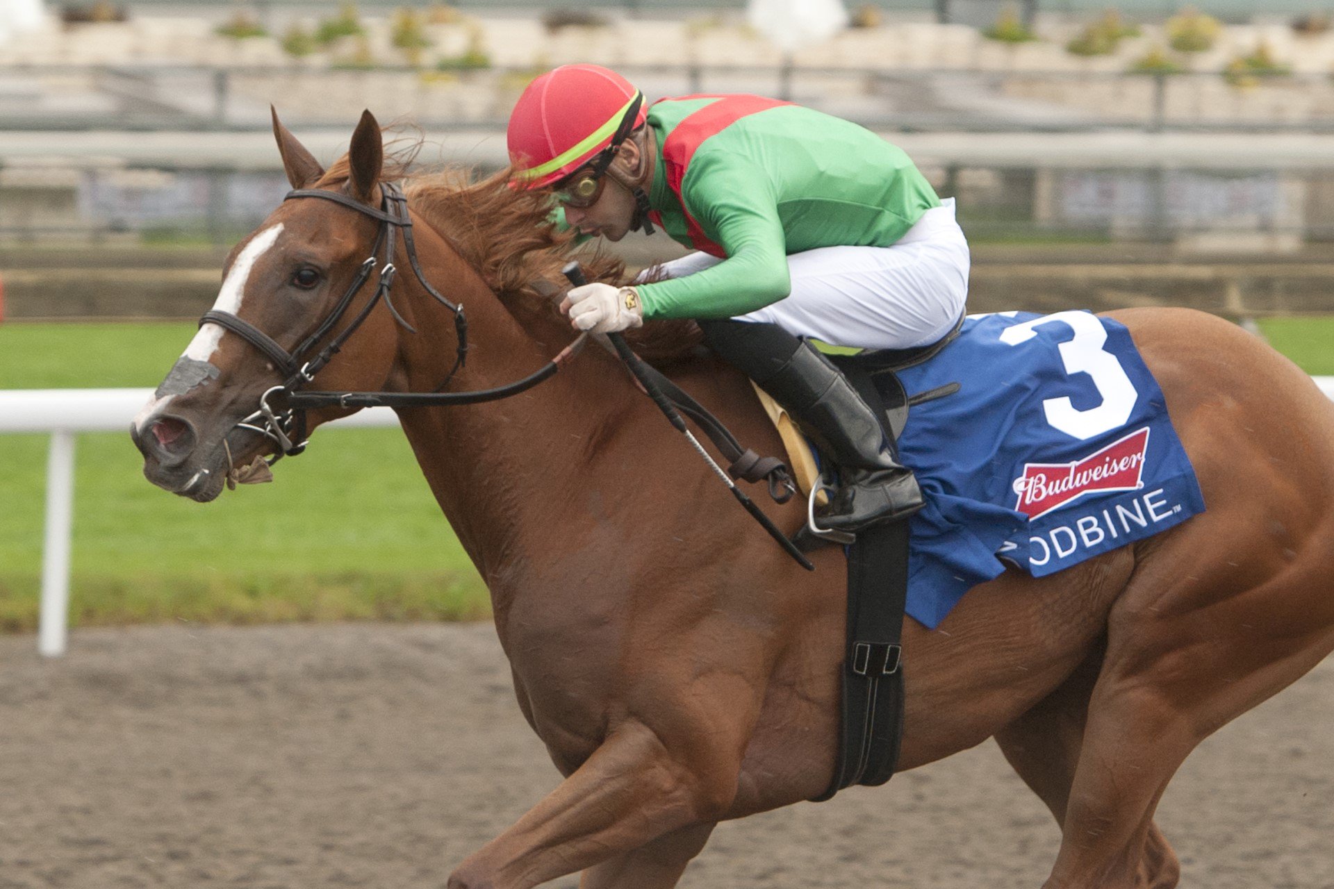 Elysian Field the best in Woodbine Oaks Presented by Budweiser ...