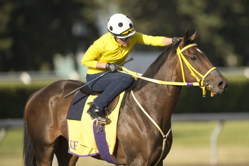 Hunt Master and jockey Emma-Jayne Wilson.