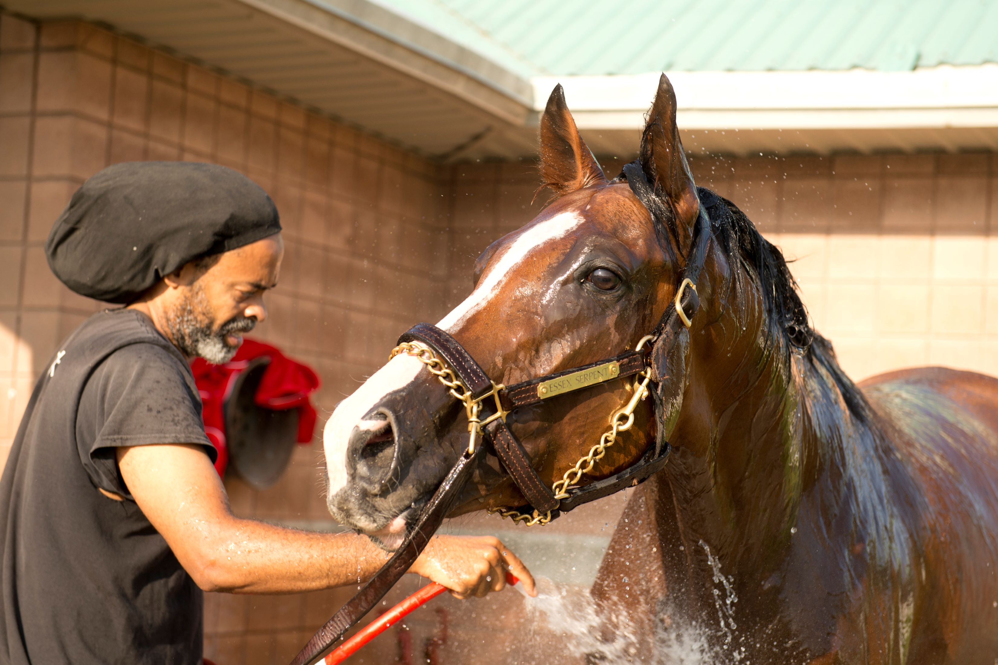 Molly Jo Rosen Handicaps The King’s Plate