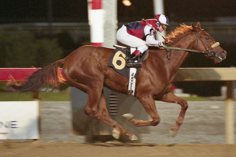 Copper Trail, under jockey Francine Villeneuve, earned the victory in the 2003 edition of the Frost King Stakes at Woodbine. (Michael Burns Photo)