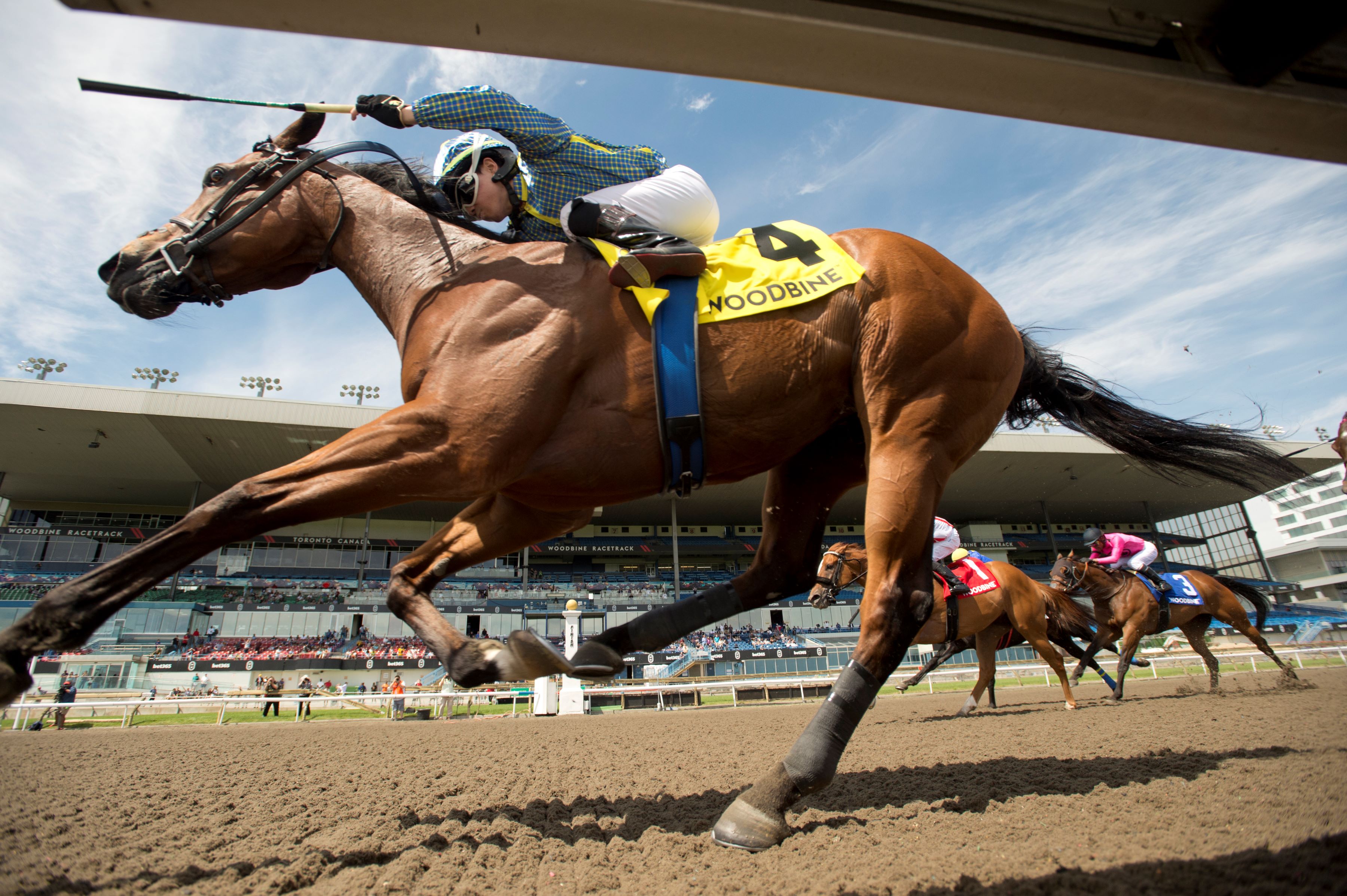 Flag Of Honour (AUS) (Michael Burns Photo)