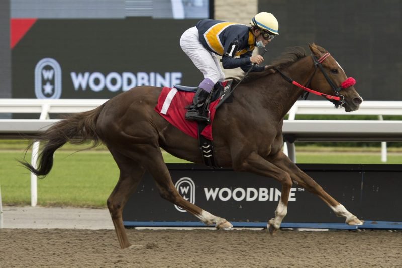 Forester’s Fortune captures an overnight race at Woodbine on June 21, 2021 with rider Daisuke Fukumoto. (Michael Burns Photo)
