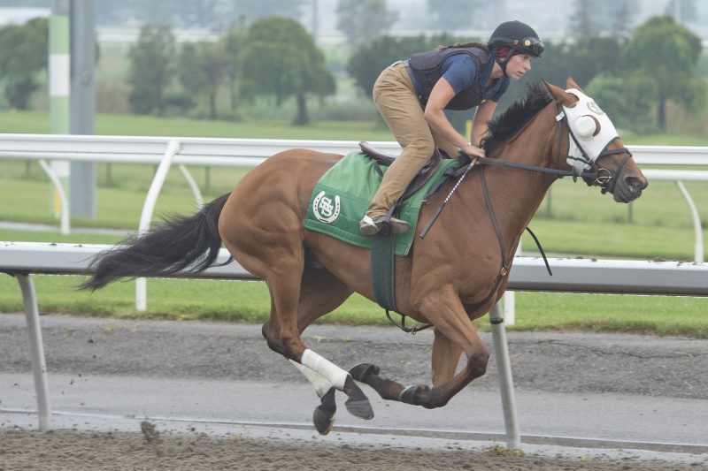 Friends for Life training at Woodbine (Michael Burns Photo)