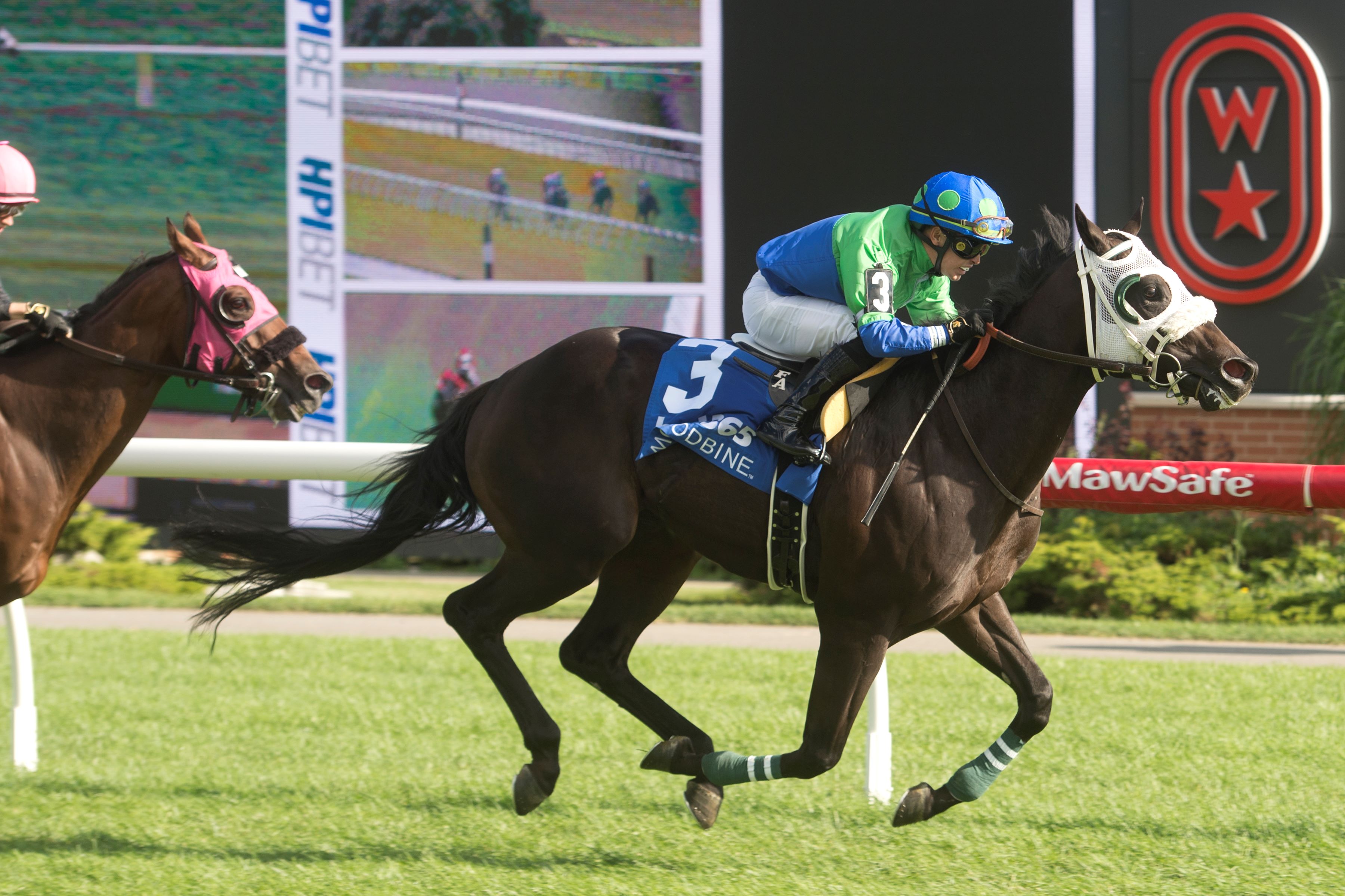 Garofoli at Woodbine (Michael Burns Photo)