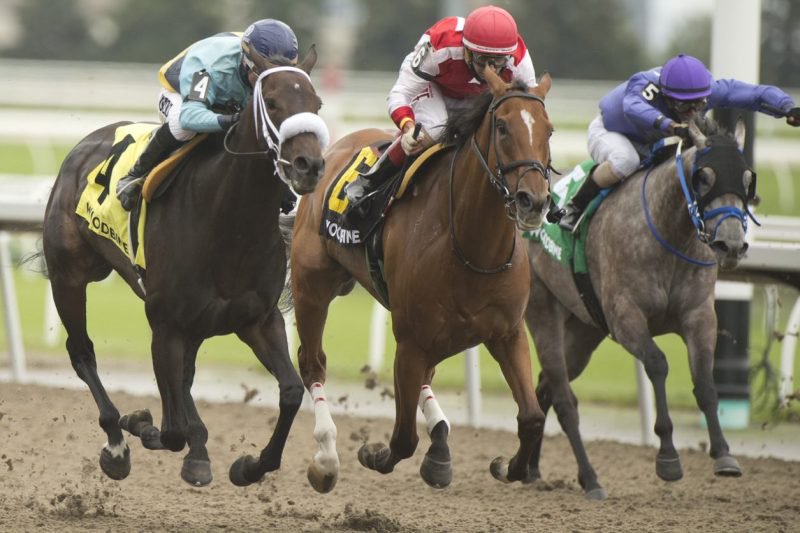Golden Vision, under Omar Moreno, winning the 2021 edition of the Ballade Stakes at Woodbine. (Michael Burns Photo)
