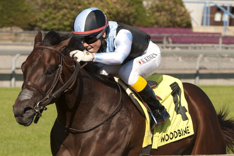 Jockey Kazushi Kimura guides Gretzky the Great to victory in the $250,000 Summer Stakes last September. Gretzky the Great is owned by Gary Barber and Eclipse Thoroughbred Partners and trained by Mark Casse.