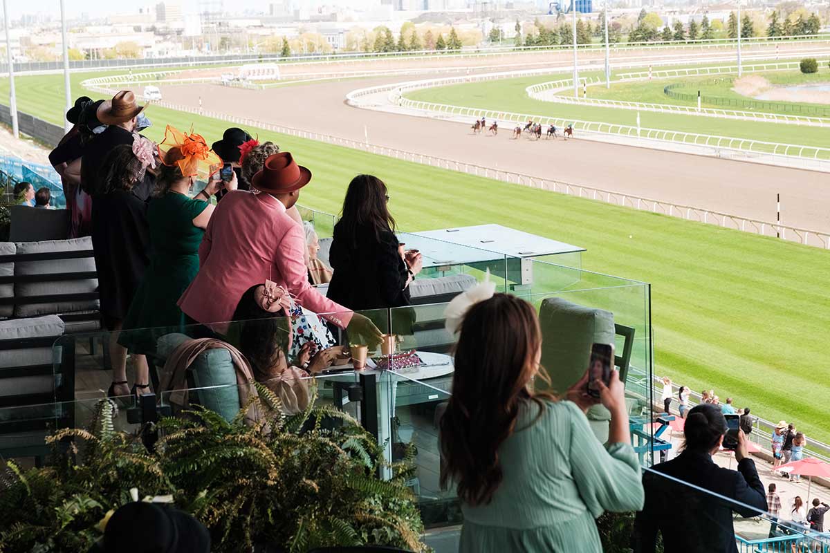 Guests At Stella Terrace At Woodbine Racetrack For Turf Champions Day