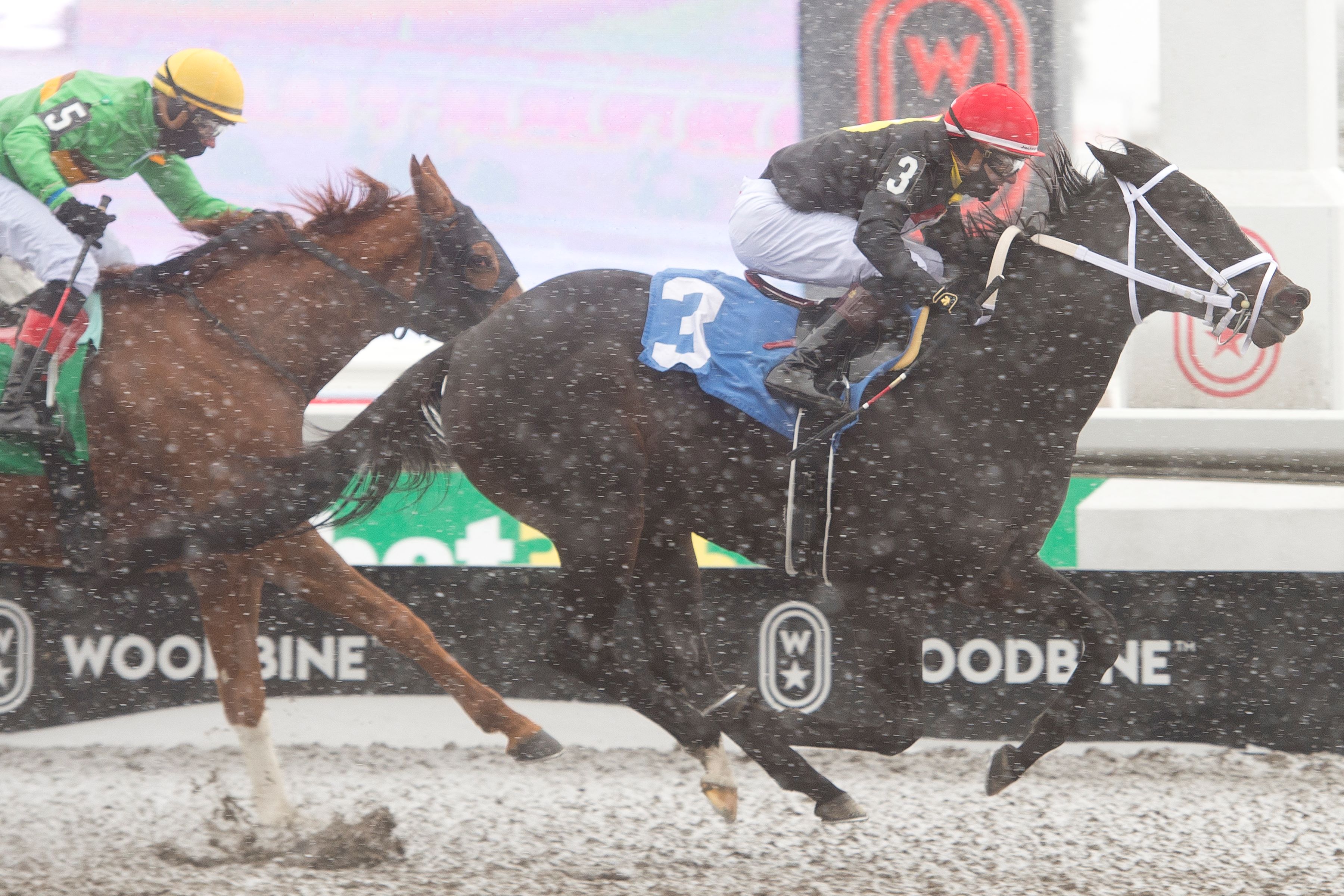 Hay Hay Paula and jockey Rafael Hernandez winning Race 2 on December 7, 2024 at Woodbine (Michael Burns Photo)