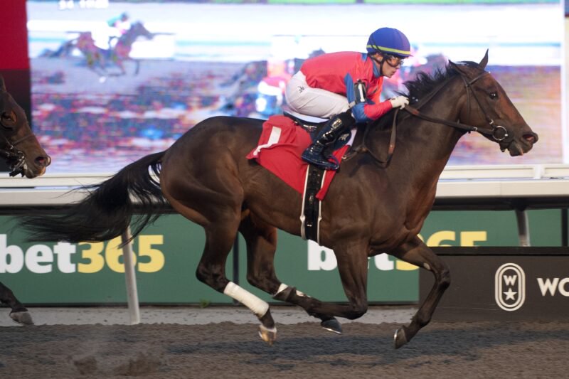 Hint and jockey Fraser Aebly winning on November 1, 2025 at Woodbine (Michael Burns Photo)