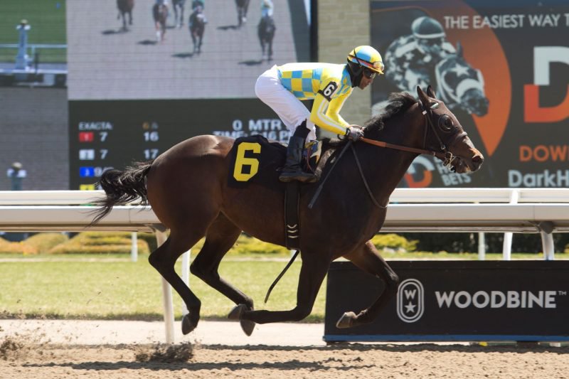His Time, with Patrick Husbands, winning on May 8, 2022 at Woodbine. (Michael Burns Photo) 