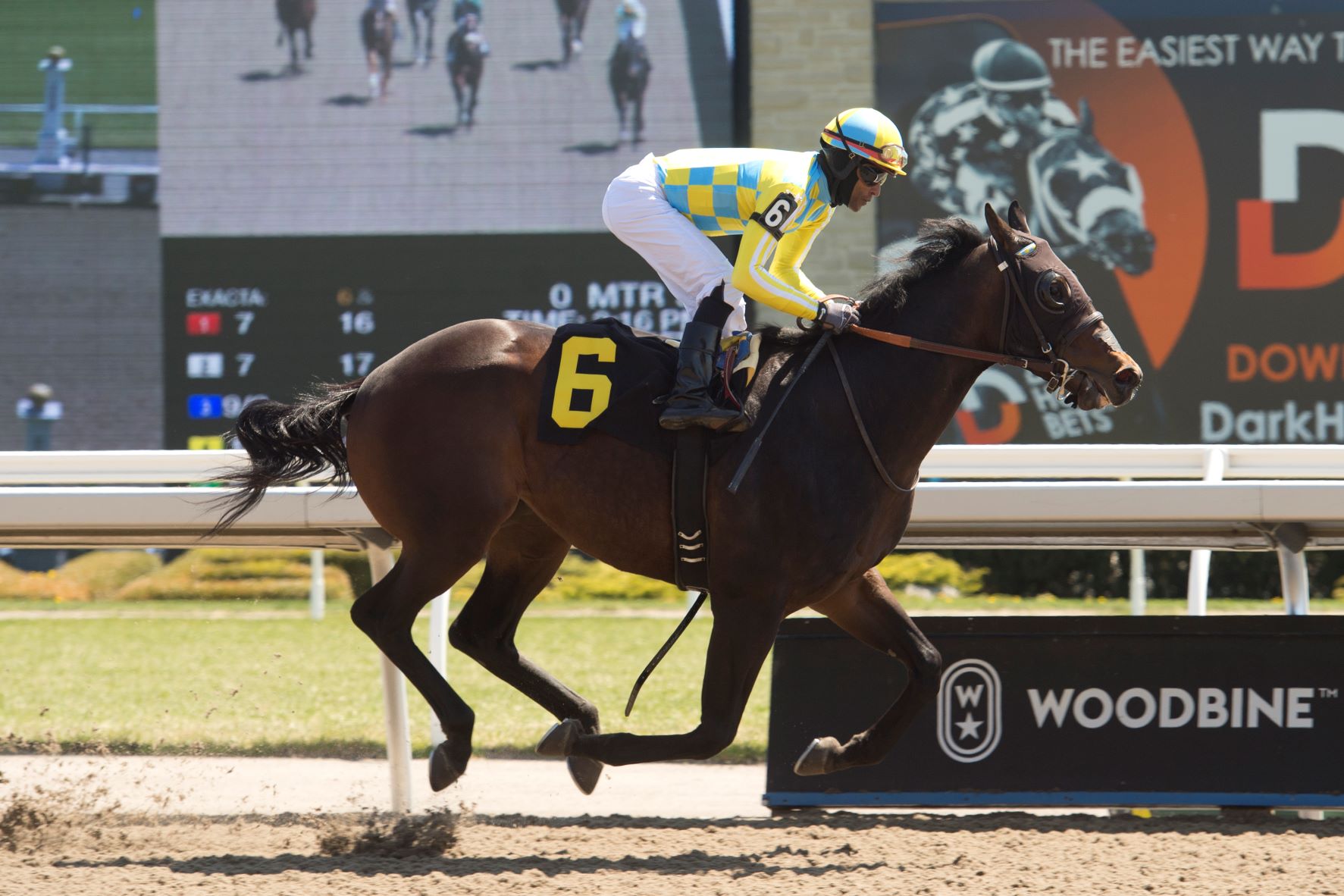 Handicapping Woodbine: Looking to Reign in the Queenston with Ren ...