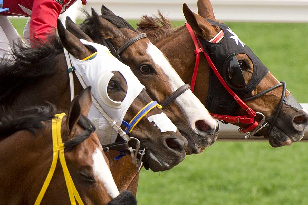 Horses competing in Ricoh Woodbine Mile at Woodbine Racetrack