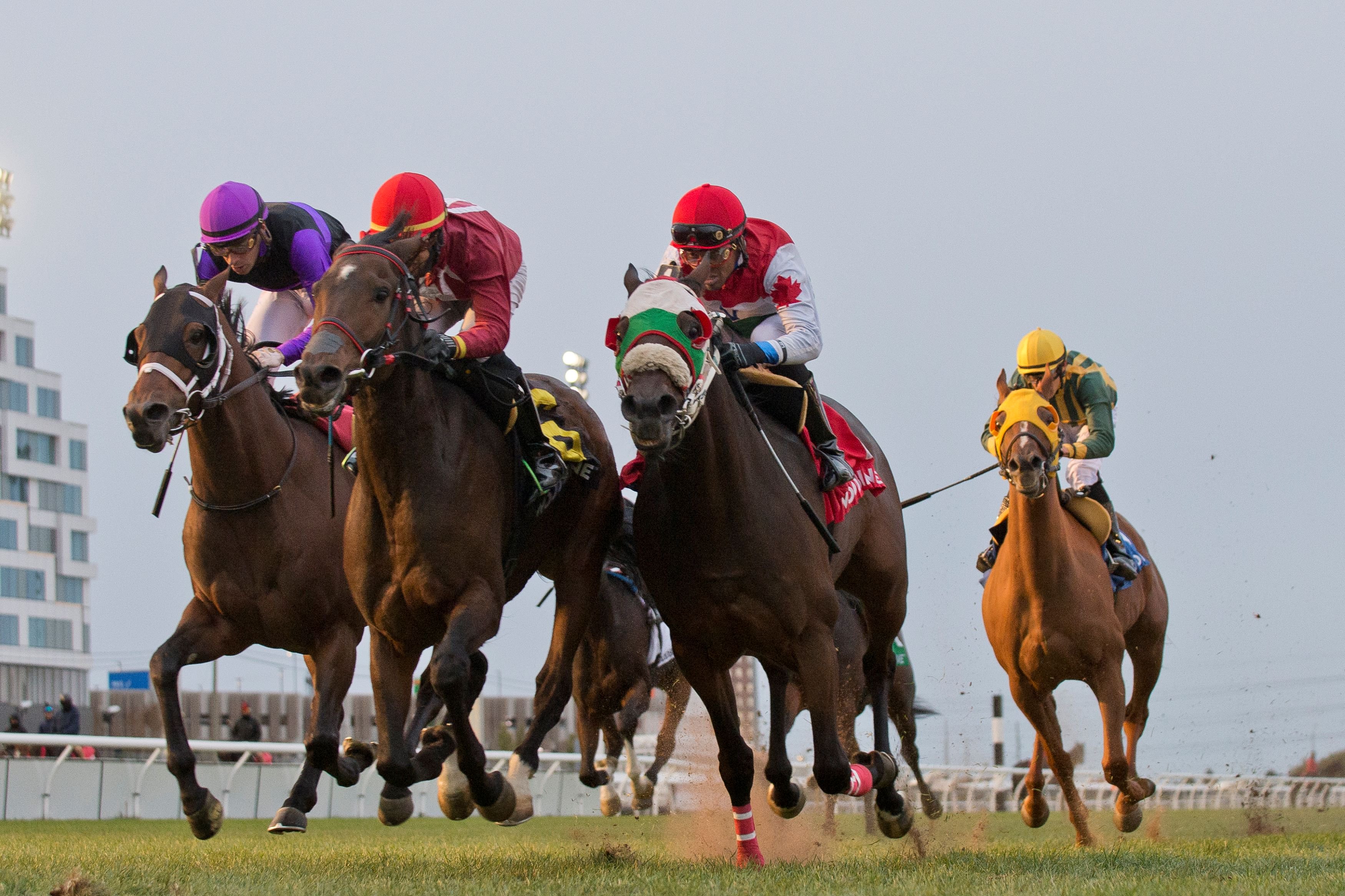 Hunt Master and jockey Jeffrey Alderson winning the Overskate stakes on October 27, 2024 at Woodbine (Michael Burns Photo)