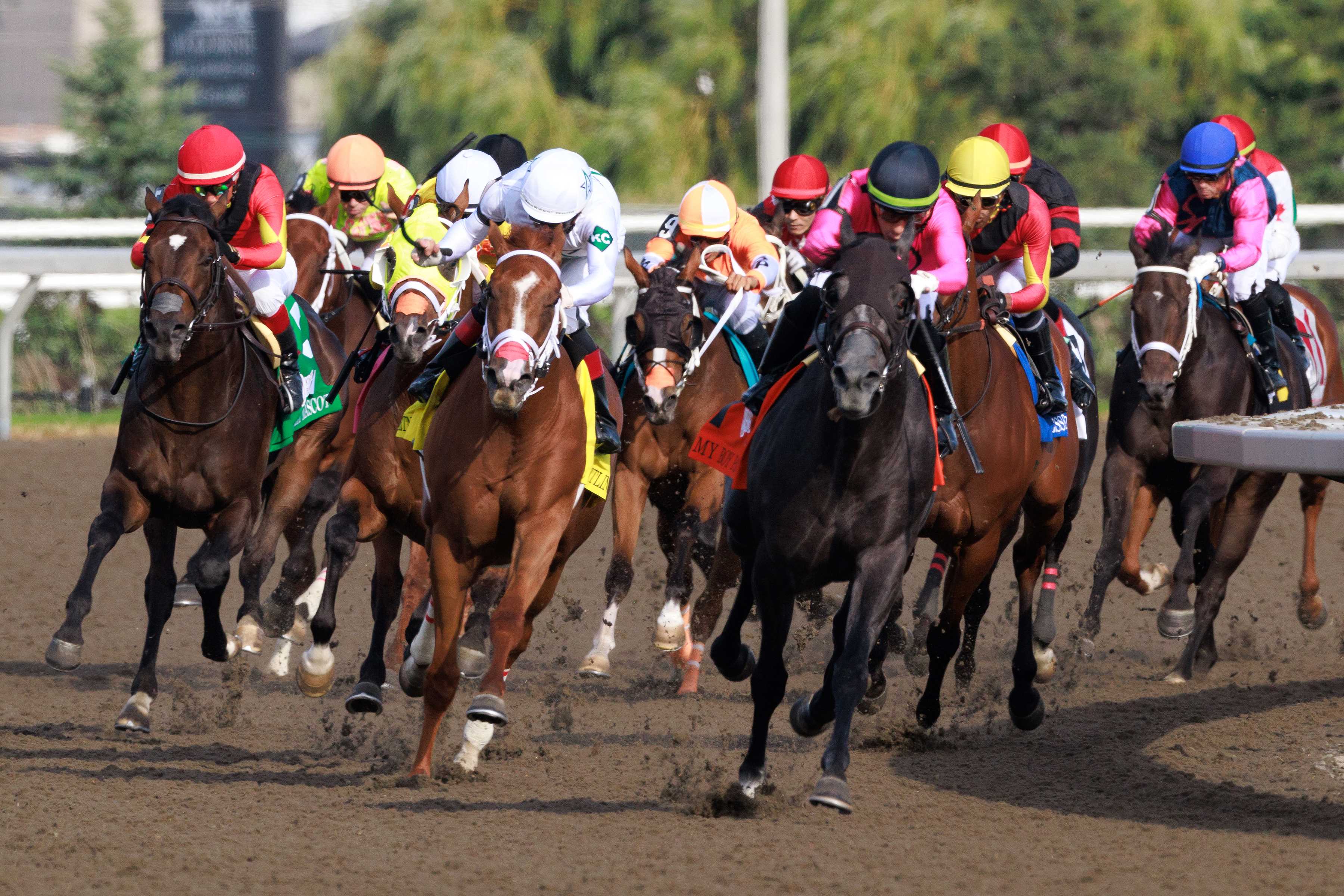 The 165th running of The King's Plate on August 23, 2024 at Woodbine Racetrack (Michael Burns Photo)