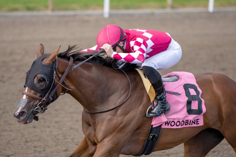 Me and My Shadow and jockey Emma-Jayne Wilson winning the Bison City Stakes on August 13, 2023 at Woodbine (Michael Burns Photo)